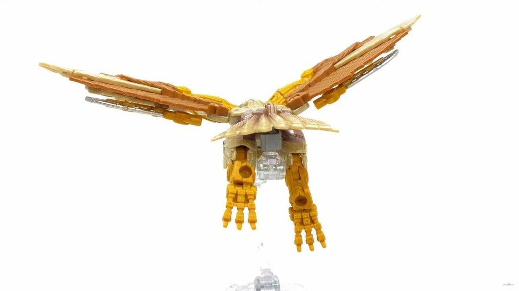 Image Of Rise Of The Beasts Studio Series Airazor Toy  (52 of 55)